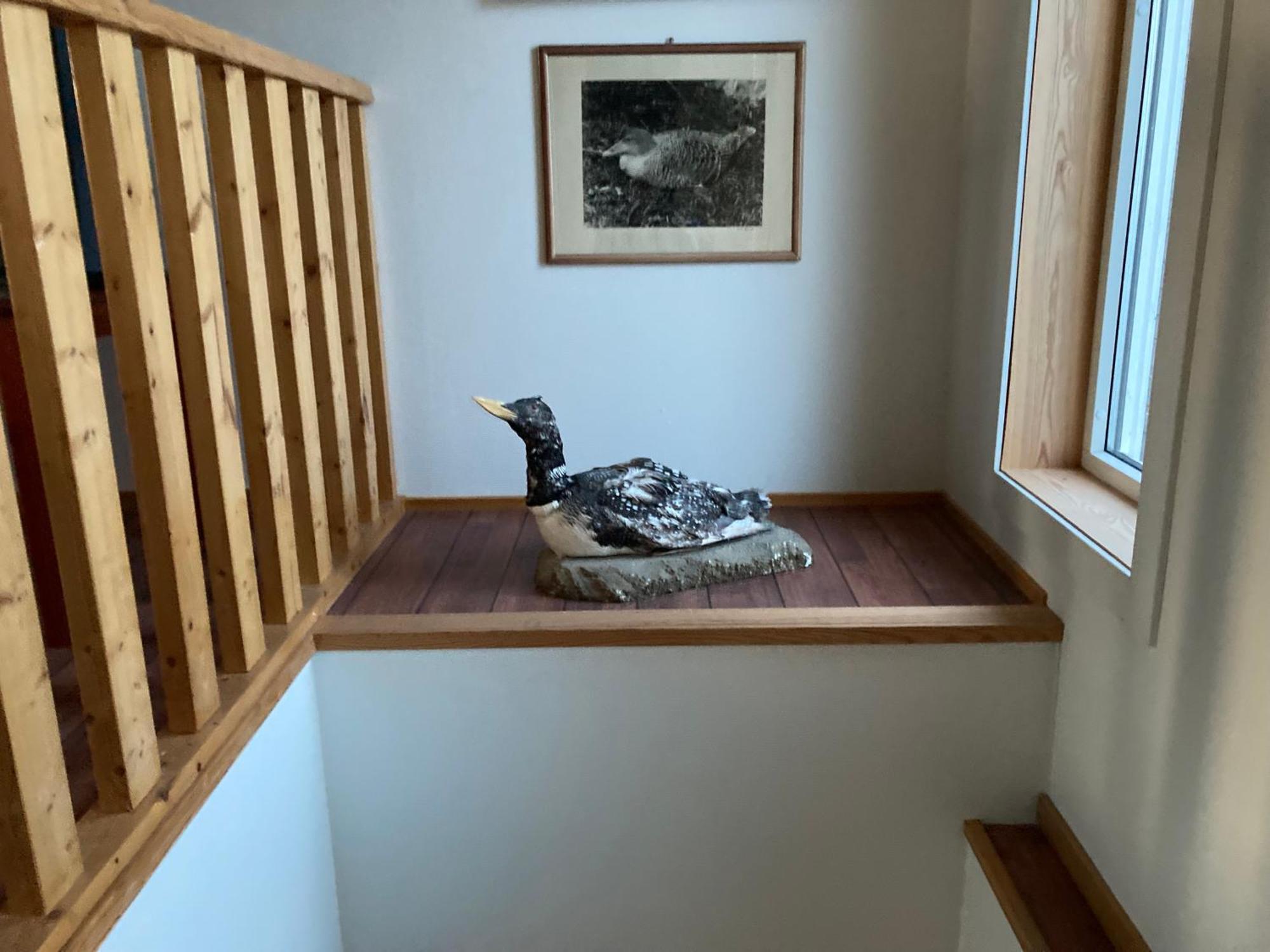 Fiskarheimen Havly, Rost Hotel Bagian luar foto