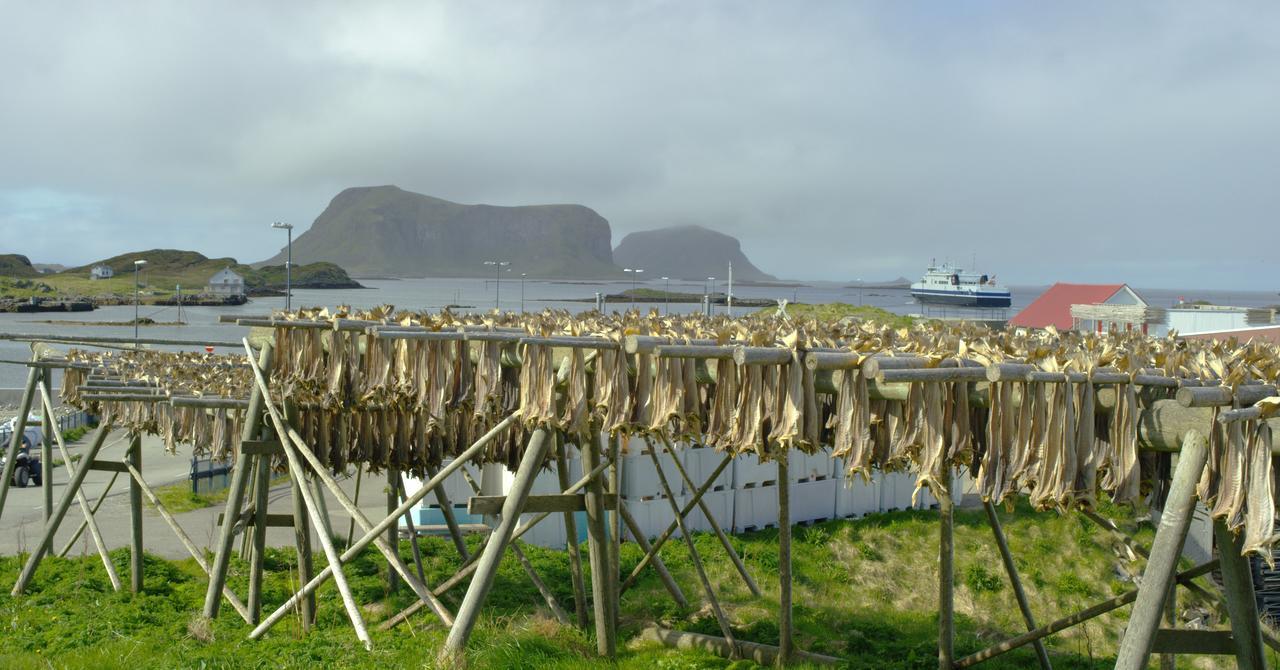 Fiskarheimen Havly, Rost Hotel Bagian luar foto