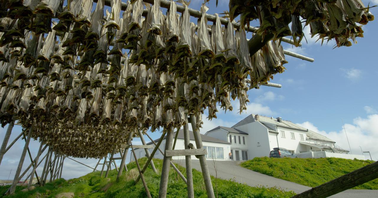 Fiskarheimen Havly, Rost Hotel Bagian luar foto